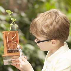 Набір для дітей  - вирощування рослин та експериментів 4М Лабіринт (00-03352)