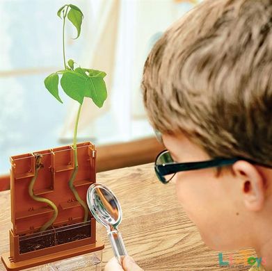 Набор для детей - выращивания растений и экспериментов 4М Лабиринт (00-03352)