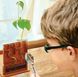 Набір для дітей  - вирощування рослин та експериментів 4М Лабіринт (00-03352)