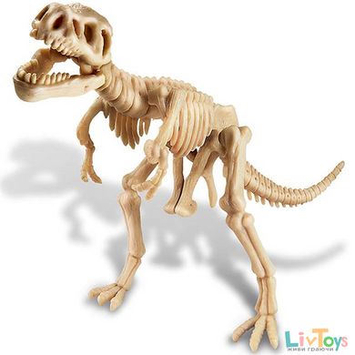 Набір для розкопок динозавра 4M Скелет Тиранозавра (00-03221)