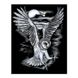 Набор для творчества Sequin Art ARTFOIL SILVER Сипуха SA0537