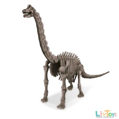 Набір дітям для розкопок 4M Скелет брахіозавра (00-03237)
