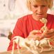 Набор детям для раскопок 4M Скелет брахиозавра (00-03237)