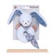 Nattou Брязкальце-кільце кролик Бібу 321167