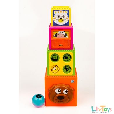 Розвиваюча іграшка Цікаві блоки (003066S)