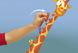 Електронна гра Splash Toys Жирафа ST30125