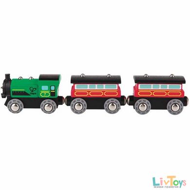 Комплект для игрушечной железной дороги "Пассажирский поезд" Hape (E3719)